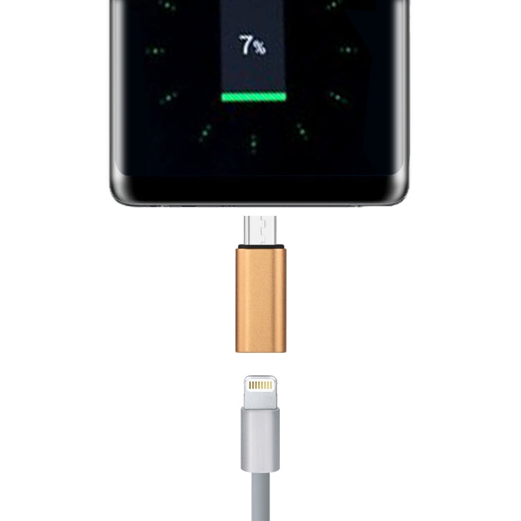 8 Pin Buchse zu USB-C / Typ-C Stecker Metallgehäuse Adapter