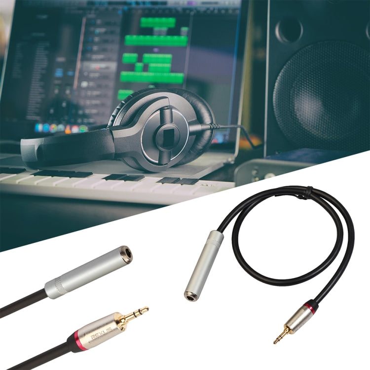 REXLIS TC128MF 3,5-mm-Stecker auf 6,5-mm-Klinkenbuchse Audio-Adapterkabel, Länge: 60 cm