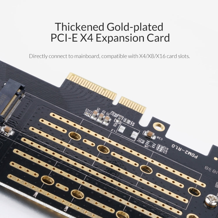 ORICO PDM2 M.2 NVME zu PCI-E 3.0 X4 Erweiterungskarte