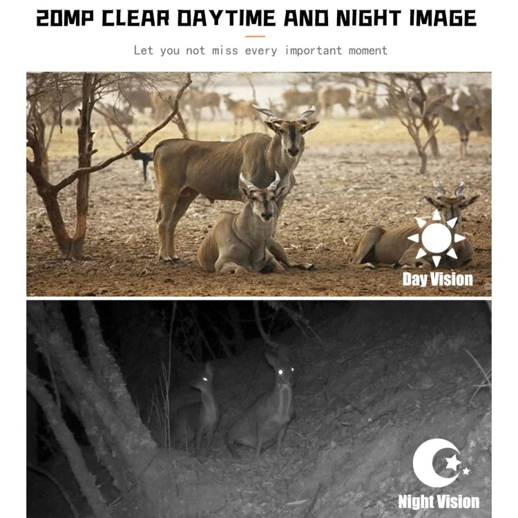 PR700 1080P Wildkamera mit Bewegungserkennung, Nachtsicht-Camcorder für Outdoor-Tracking-Scan-Auslösung, PR700