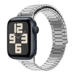 Magnetisches Uhrenarmband aus Bambus-Edelstahlmetall, für Apple Watch SE 2023 44mm, für Apple Watch SE 2023 40mm, für Apple Watch Ultra 2 49mm, für Apple Watch Series 9 45mm, für Apple Watch Series 9 41mm, für Apple Watch Ultra 49mm