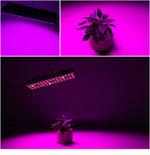 25W 75LED Vollspektrum Pflanzenbeleuchtung Fitolampen für Pflanzen Blumen Sämlingsanzucht Wachstumslampen LED Pflanzenlampe AC85-265V, US, EU