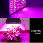 45W 144 LEDs Vollspektrum-Pflanzenbeleuchtung Fitolampen für Pflanzen Blumen Sämlingszucht Wachstumslampen LED Grow Light AC85-265V, US, EU, AU, UK