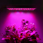 45W 144 LEDs Vollspektrum-Pflanzenbeleuchtung Fitolampen für Pflanzen Blumen Sämlingszucht Wachstumslampen LED Grow Light AC85-265V, US, EU, AU, UK