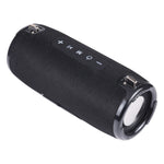 T&G TG125 Tragbarer Säulenlautsprecher 20W Bluetooth-Lautsprecher Musik-Player Lautsprecherbox mit FM Radio Aux TF Subwoofer Basslautsprecher