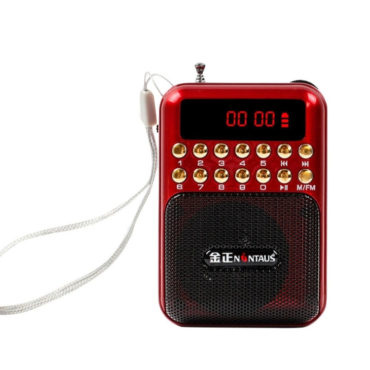 Tragbarer wiederaufladbarer FM-Radioempfänger Lautsprecher, unterstützt USB / TF-Karte / Musik MP3-Player
