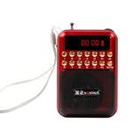 Tragbarer wiederaufladbarer FM-Radioempfänger Lautsprecher, unterstützt USB / TF-Karte / Musik MP3-Player