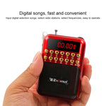 Tragbarer wiederaufladbarer FM-Radioempfänger Lautsprecher, unterstützt USB / TF-Karte / Musik MP3-Player