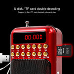 Tragbarer wiederaufladbarer FM-Radioempfänger Lautsprecher, unterstützt USB / TF-Karte / Musik MP3-Player