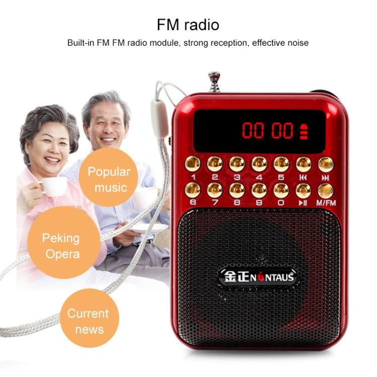 Tragbarer wiederaufladbarer FM-Radioempfänger Lautsprecher, unterstützt USB / TF-Karte / Musik MP3-Player