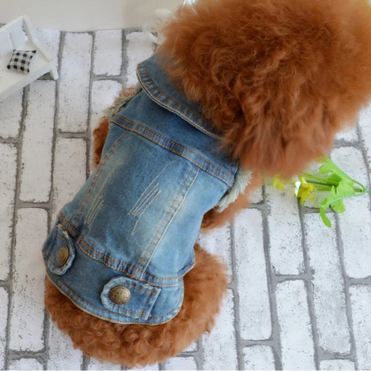 Retro Persönlichkeit Denim Kleine Weste Haustier Hund Kleidung Haustier Jacke, L, XL, XS, M