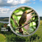 Eyeskey High-definition HD-Teleskop Nachtsicht Nicht-Infrarot Stickstoffgefüllt Wasserdichtes Taschenfernglas, 8x42, 10x42