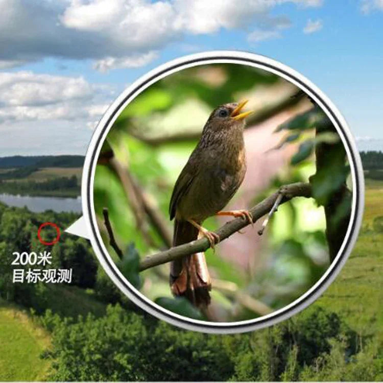 Eyeskey High-definition HD-Teleskop Nachtsicht Nicht-Infrarot Stickstoffgefüllt Wasserdichtes Taschenfernglas, 8x42, 10x42