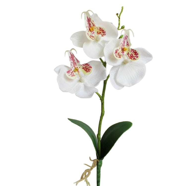 Decorative Landscaping Round Pot Three Flowers Phalaenopsis Bonsai Simulation Potted Plants