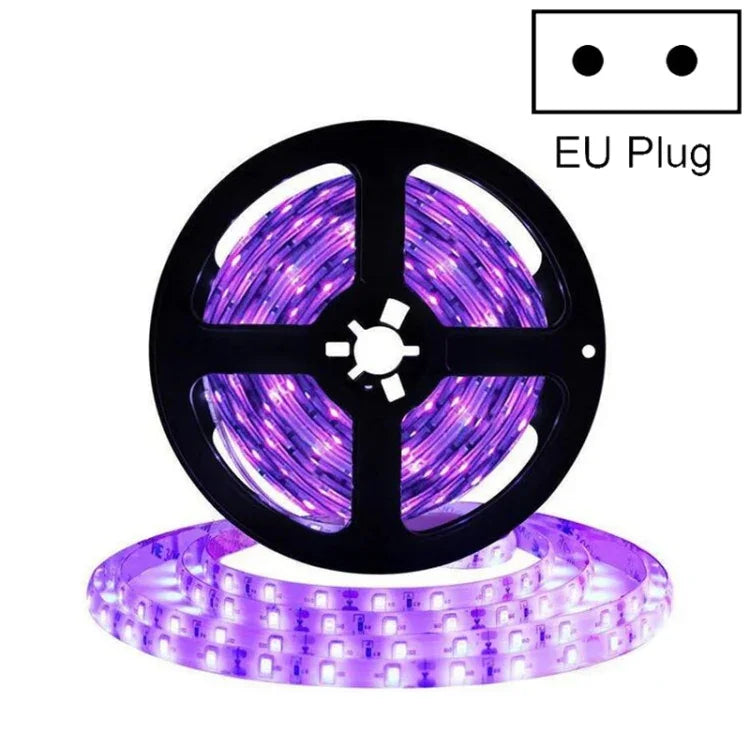 2835 SMD UV-Lila-Lichtstreifen LED-Lampe Dekorativer Lichtstreifen, wasserdicht 5m, wasserdicht 10m, blanke Platine 5m, blanke Platine 10m
