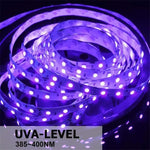 2835 SMD UV Purple Light Strip LED Lamp Decorative Light Strip, Waterproof 5m, Waterproof 10m, Bare Board 10m