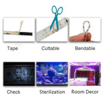 2835 SMD UV Purple Light Strip LED Lamp Decorative Light Strip, Waterproof 5m, Waterproof 10m, Bare Board 10m