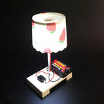 Kreativer DIY-Kleiner-Tischlampen-Technologie-Bausatz für die Grundschule, Handwerk, Materialwissenschafts-Experiment, DIY-Kleine-Tischlampe