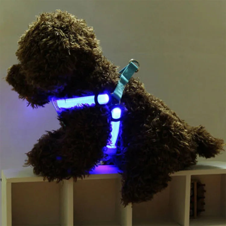 Doppelseitiges LED-Licht-Haustiergeschirr aus Nylon, Brustgurt für Katzen und Hunde, Größen S und M
