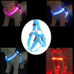 Doppelseitiges LED-Licht-Haustiergeschirr aus Nylon, Brustgurt für Katzen und Hunde, Größen S und M