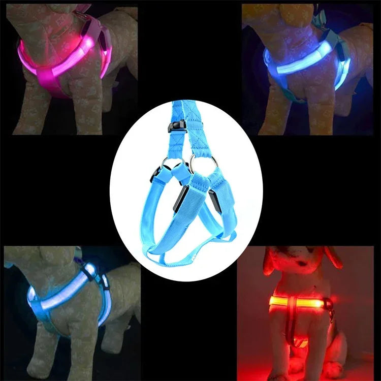 Doppelseitiges LED-Licht-Haustiergeschirr aus Nylon, Brustgurt für Katzen und Hunde, Größen S und M