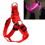 Doppelseitiges LED-Licht-Haustiergeschirr aus Nylon, Brustgurt für Katzen und Hunde, Größen S und M