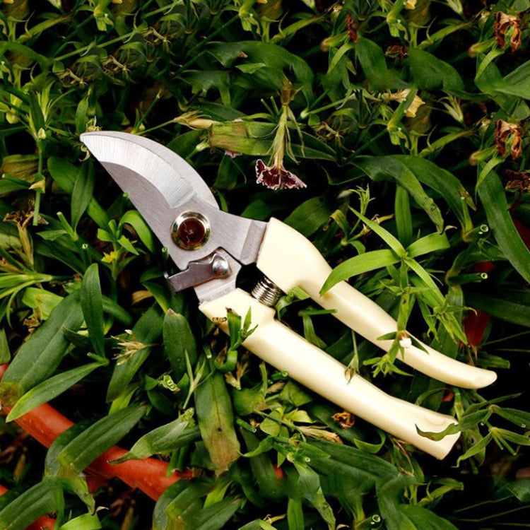 Gartengeräte Edelstahlschere Obstbaumscheren Gartenastschere Neue und alte Verpackungen werden zufällig geliefert