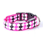 Wiederaufladbares LED-Leuchthalsband mit Karomuster für kleine und mittelgroße Hunde, Größen L und XL