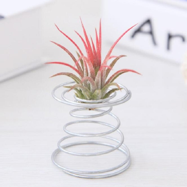 2 Stück Aluminiumdraht-Ananas-Wurzelhalter, Federbasis, Ananas-Wurzelhalter