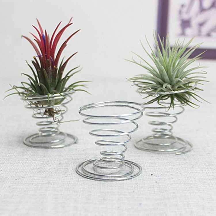 2 Stück Aluminiumdraht-Ananas-Wurzelhalter, Federbasis, Ananas-Wurzelhalter