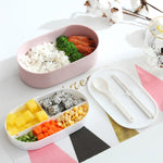 Ovale schlichte Lunchbox Holz-Sushi versiegelte auslaufsichere Lunchbox mit Besteck, einlagig