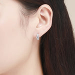 Ohrringe aus Sterlingsilber mit Zirkon, schlichtes Temperament, S925 Ohrringe, Silber, Gold