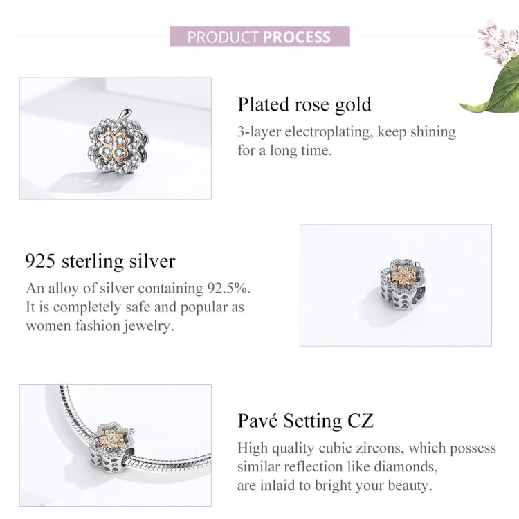 نص بديل للصورة