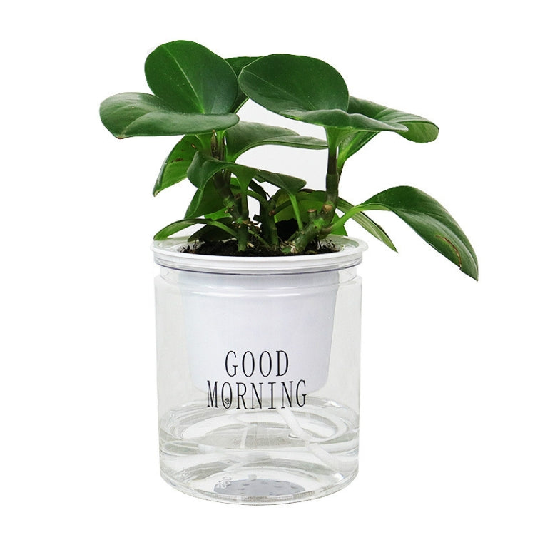 Automatischer Wasseraufnahme Hydroponik-Topf Sukkulenten-Blumentopf, Transparent mit Schrift