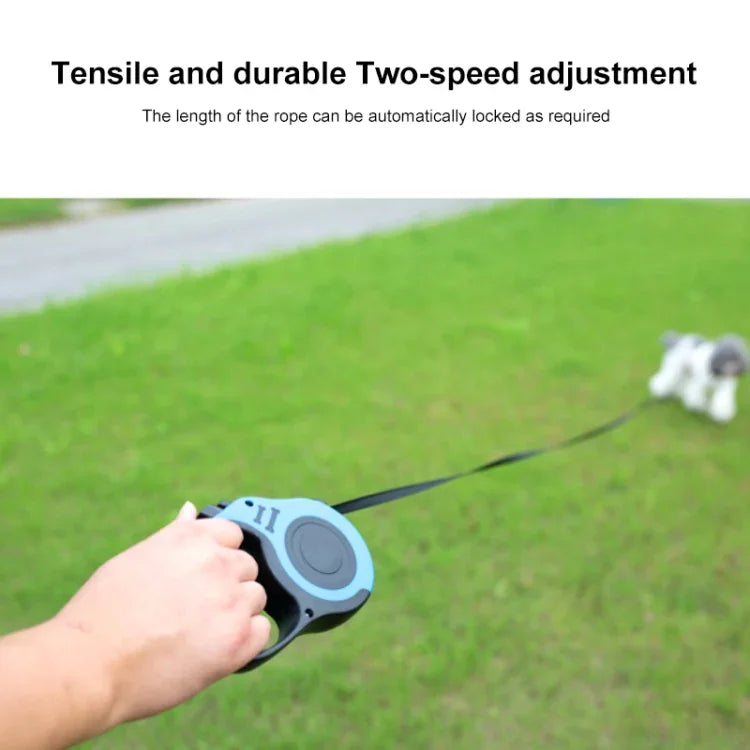 Automatische, flexible Rollleine für Hunde, Welpen und Katzen, 3 m und 5 m, geeignet für kleine und mittelgroße Hunde.