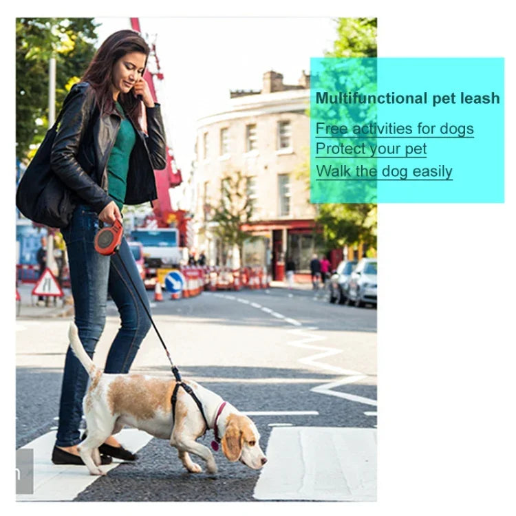 Automatische, flexible Rollleine für Hunde, Welpen und Katzen, 3 m und 5 m, geeignet für kleine und mittelgroße Hunde.