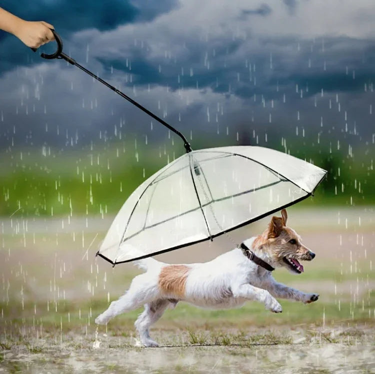 Transparenter, verstellbarer Regenschirm für Haustiere, Hundeleine für Spaziergänge, Regenschirm für Haustiere