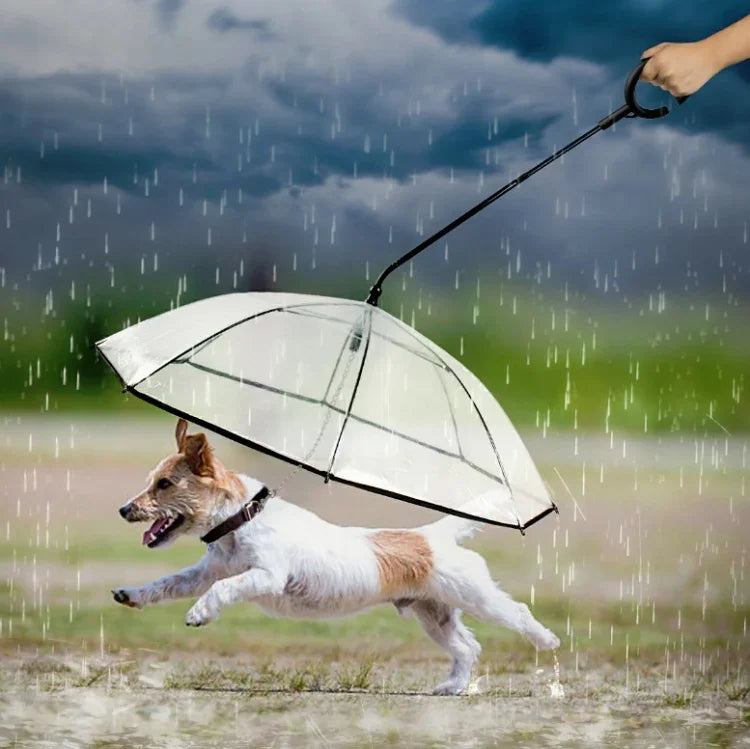 Transparenter, verstellbarer Regenschirm für Haustiere, Hundeleine für Spaziergänge, Regenschirm für Haustiere