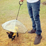 Transparenter, verstellbarer Regenschirm für Haustiere, Hundeleine für Spaziergänge, Regenschirm für Haustiere