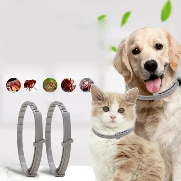 Floh- und Läusehalsband für Haustiere, Insektenschutzring (In-vitro-Wirkung), kleine Hunde (38 cm), große Hunde (70 cm)
