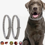 Floh- und Läusehalsband für Haustiere, Insektenschutzring (In-vitro-Wirkung), kleine Hunde (38 cm), große Hunde (70 cm)