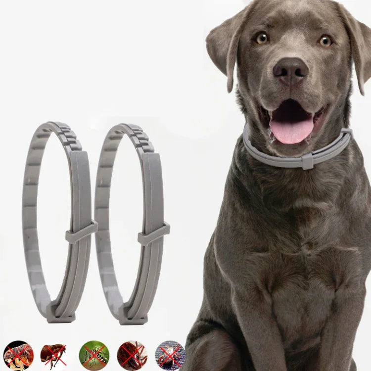 Floh- und Läusehalsband für Haustiere, Insektenschutzring (In-vitro-Wirkung), kleine Hunde (38 cm), große Hunde (70 cm)