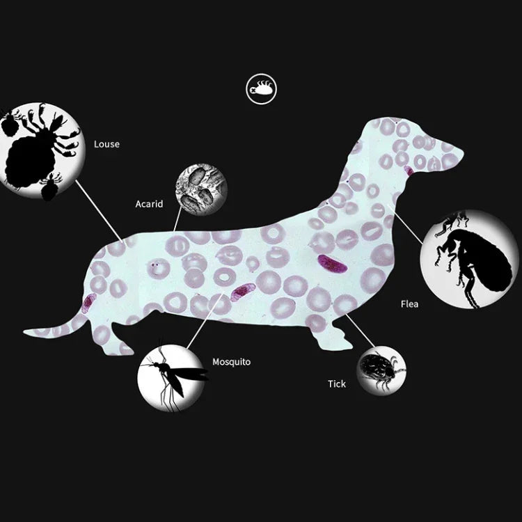 Floh- und Läusehalsband für Haustiere, Insektenschutzring (In-vitro-Wirkung), kleine Hunde (38 cm), große Hunde (70 cm)