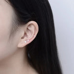 20 Paar / Packung Sechs-Kiefer-Zirkon-Ohrringe, Damenperlen-Diamant-Schmuck
