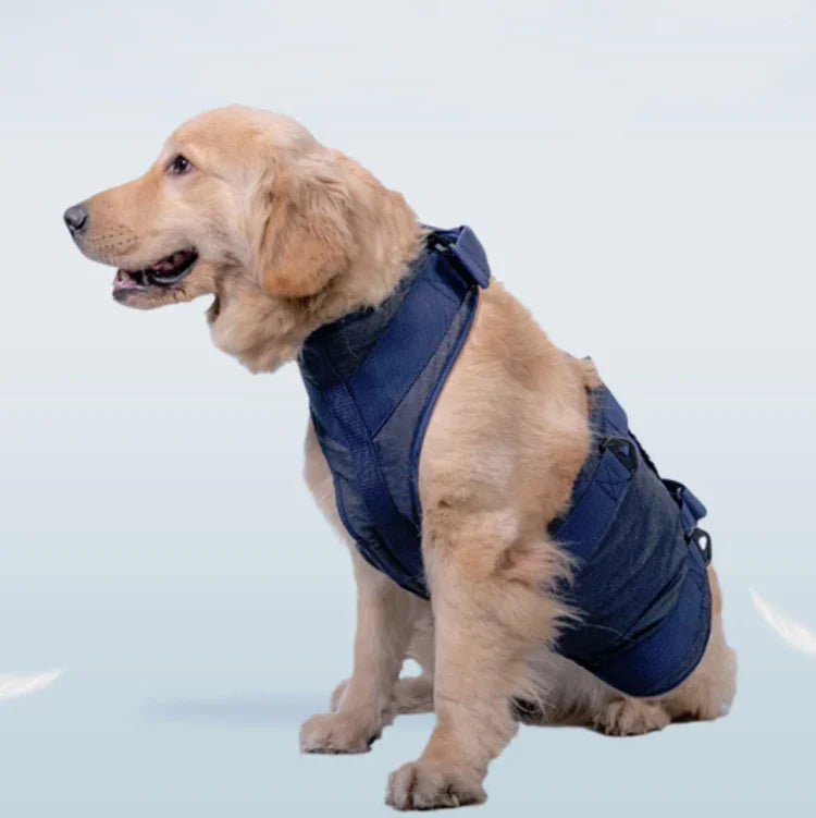Hundeleine für ältere Hunde, Brustgeschirr, XS, S, M, L, XL