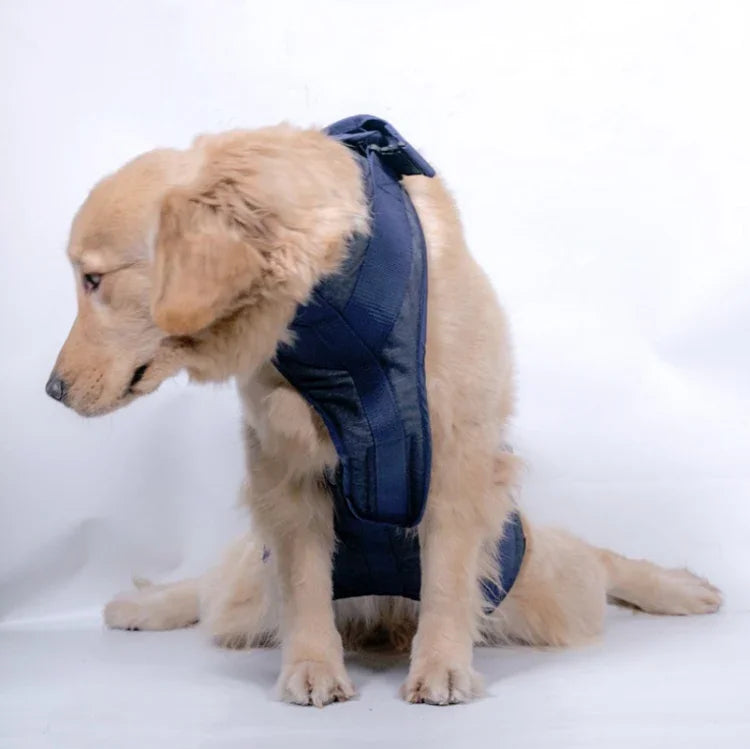 Hundeleine für ältere Hunde, Brustgeschirr, XS, S, M, L, XL