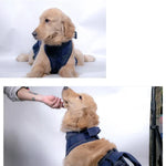 Hundeleine für ältere Hunde, Brustgeschirr, XS, S, M, L, XL