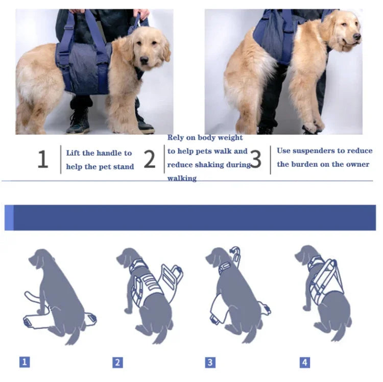 Hundeleine für ältere Hunde, Brustgeschirr, XS, S, M, L, XL