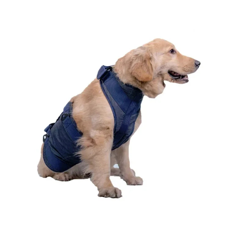 Hundeleine für ältere Hunde, Brustgeschirr, XS, S, M, L, XL