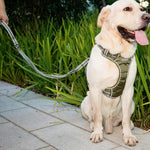 Hunde-Spazierseil für den Außenbereich, reflektierend, elastisch, dehnbar, aus Nylon, gelb, grün